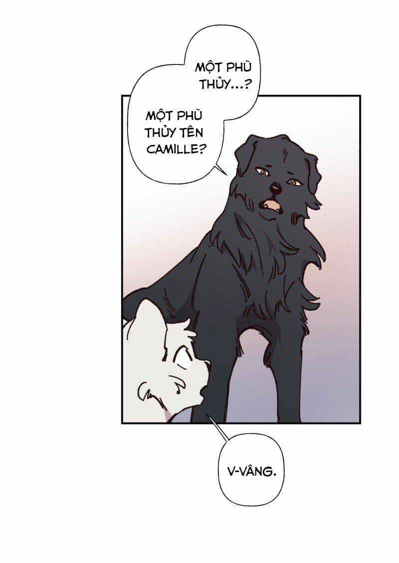 Cội Nguồn Ánh Sáng Chapter 82 trang 16