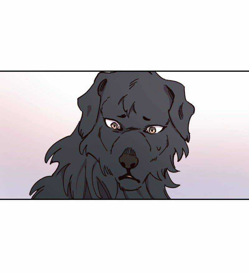 Cội Nguồn Ánh Sáng Chapter 82 trang 17