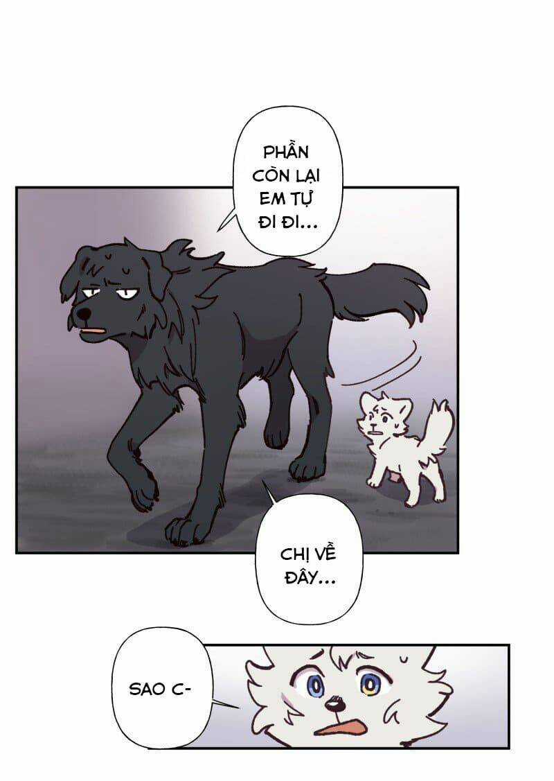 Cội Nguồn Ánh Sáng Chapter 82 trang 19