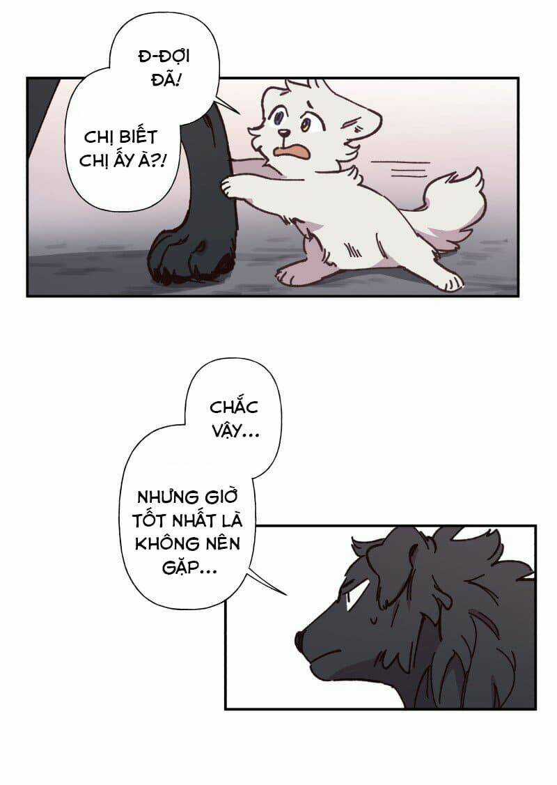 Cội Nguồn Ánh Sáng Chapter 82 trang 20