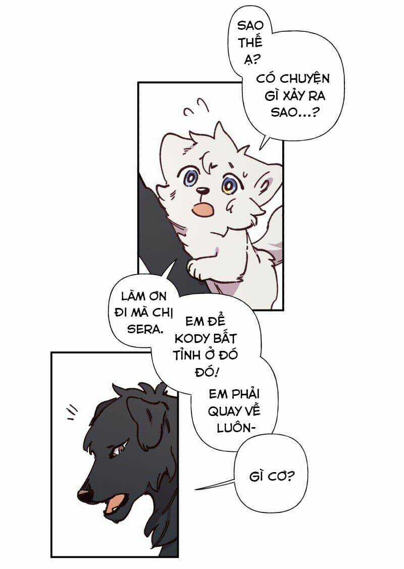 Cội Nguồn Ánh Sáng Chapter 82 trang 21