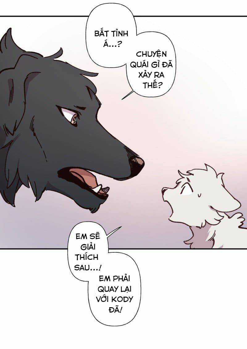 Cội Nguồn Ánh Sáng Chapter 82 trang 22