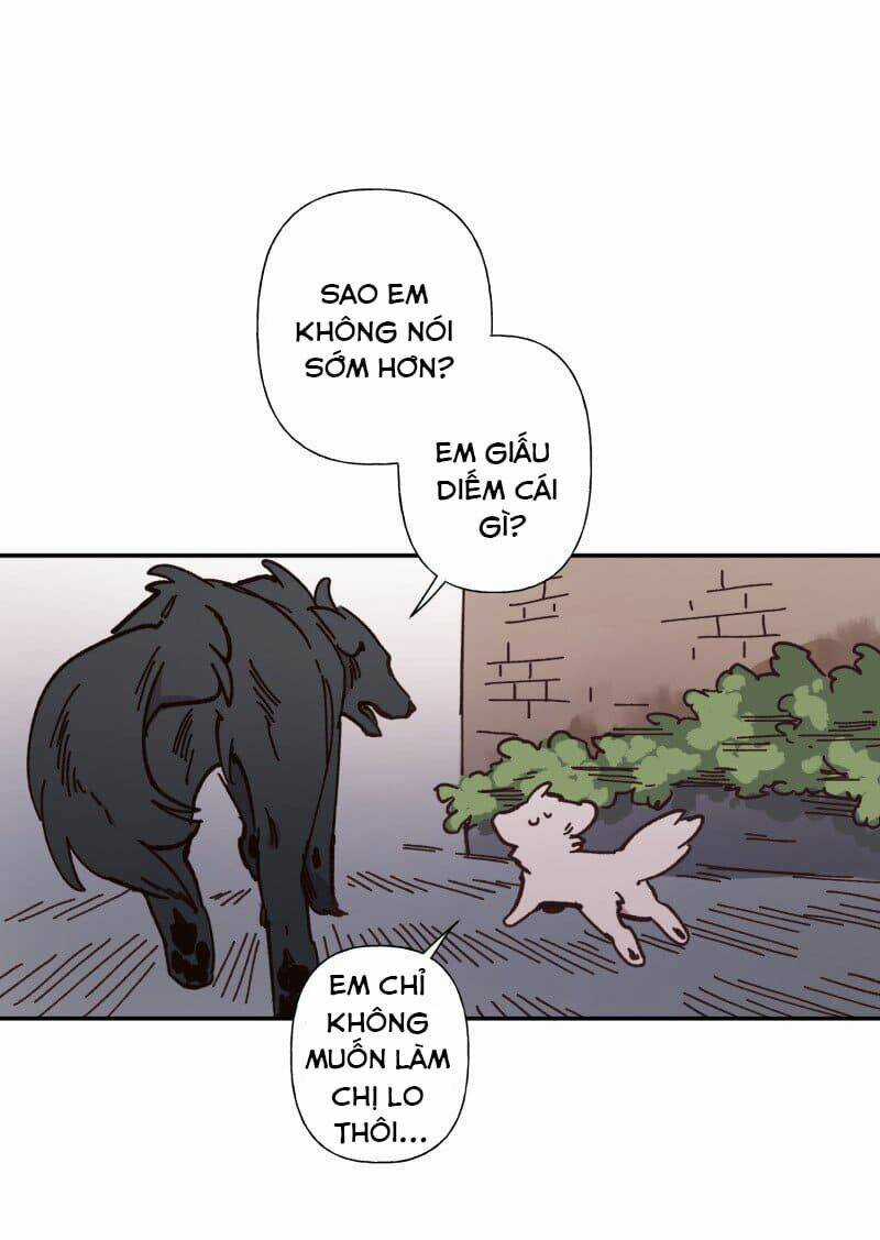 Cội Nguồn Ánh Sáng Chapter 82 trang 24