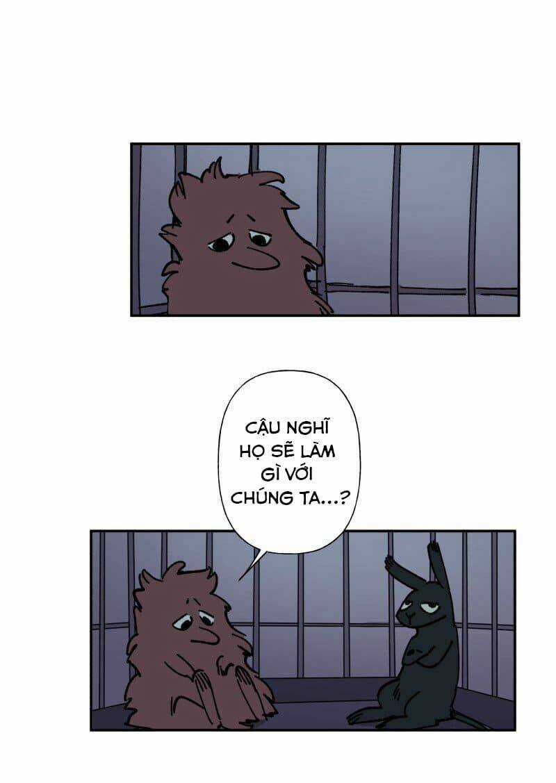 Cội Nguồn Ánh Sáng Chapter 82 trang 26