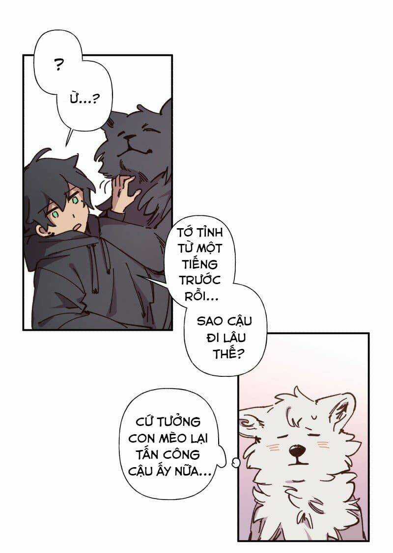 Cội Nguồn Ánh Sáng Chapter 83 trang 11