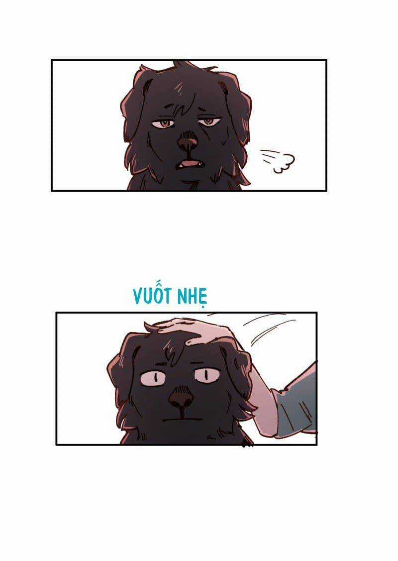 Cội Nguồn Ánh Sáng Chapter 83 trang 13