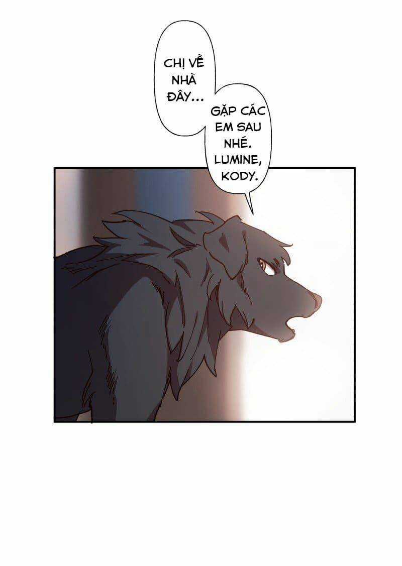 Cội Nguồn Ánh Sáng Chapter 83 trang 22