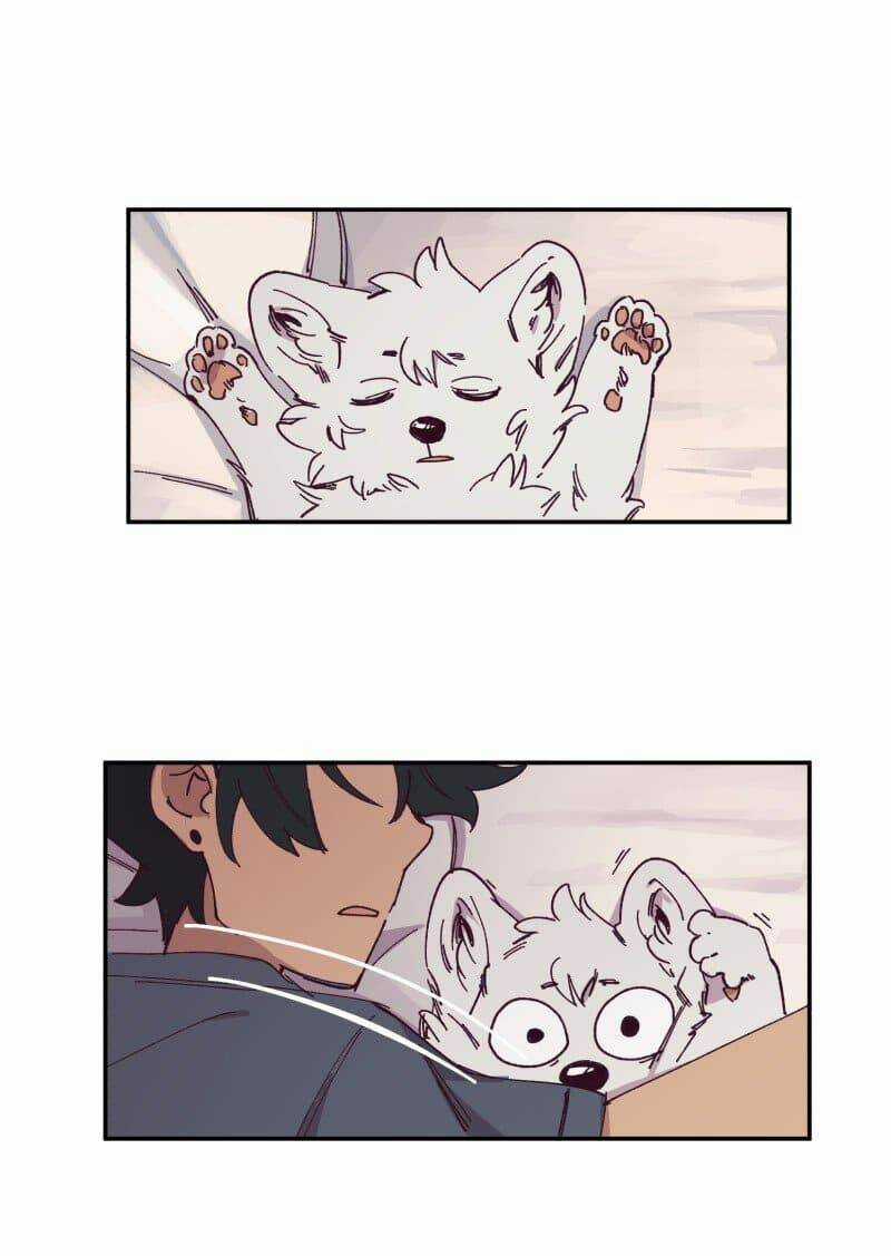 Cội Nguồn Ánh Sáng Chapter 84 trang 2