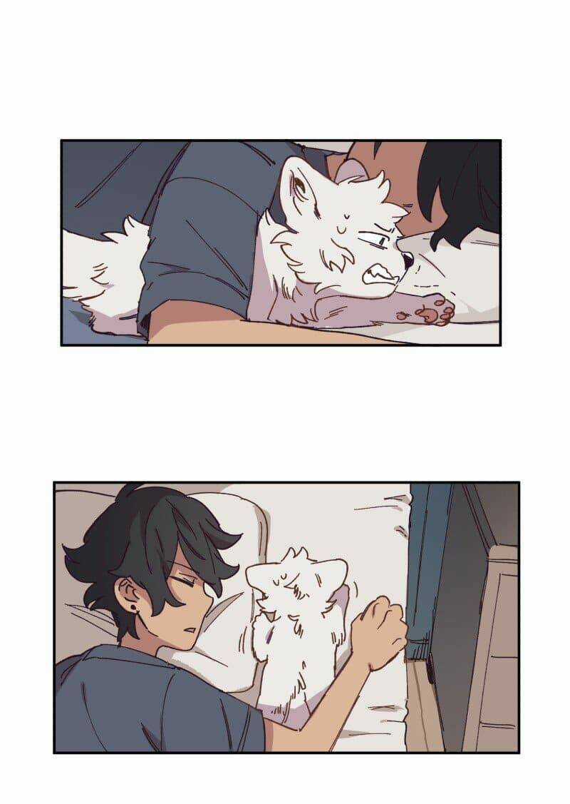 Cội Nguồn Ánh Sáng Chapter 84 trang 4