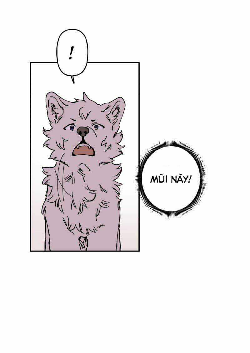 Cội Nguồn Ánh Sáng Chapter 89 trang 28