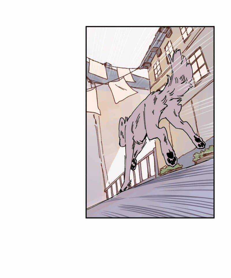 Cội Nguồn Ánh Sáng Chapter 89 trang 29