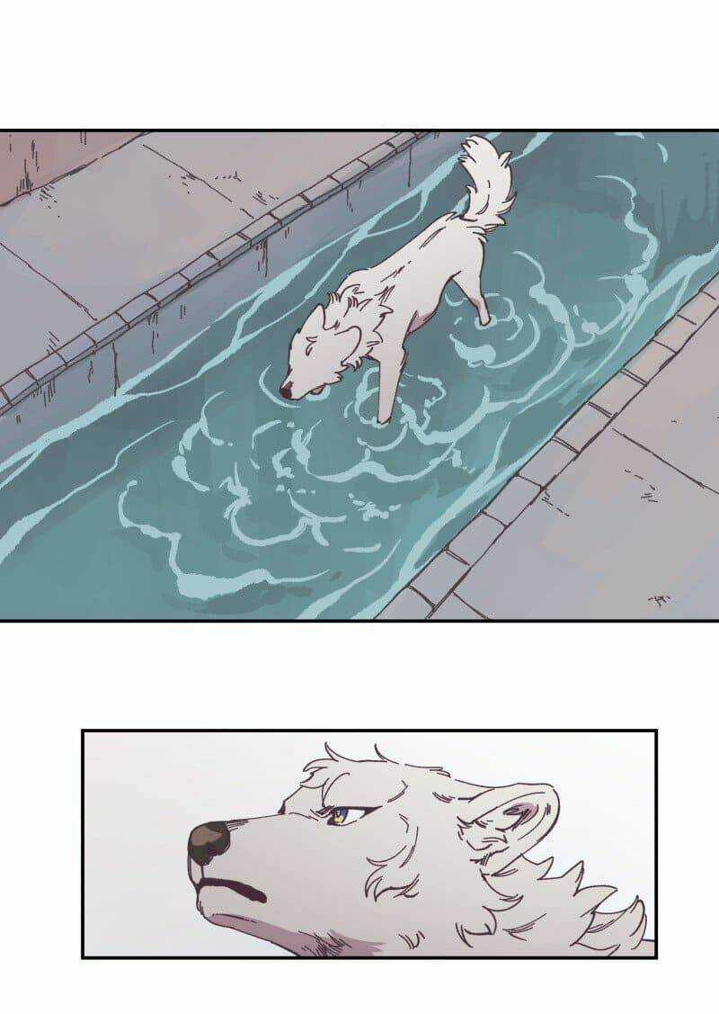 Cội Nguồn Ánh Sáng Chapter 89 trang 35