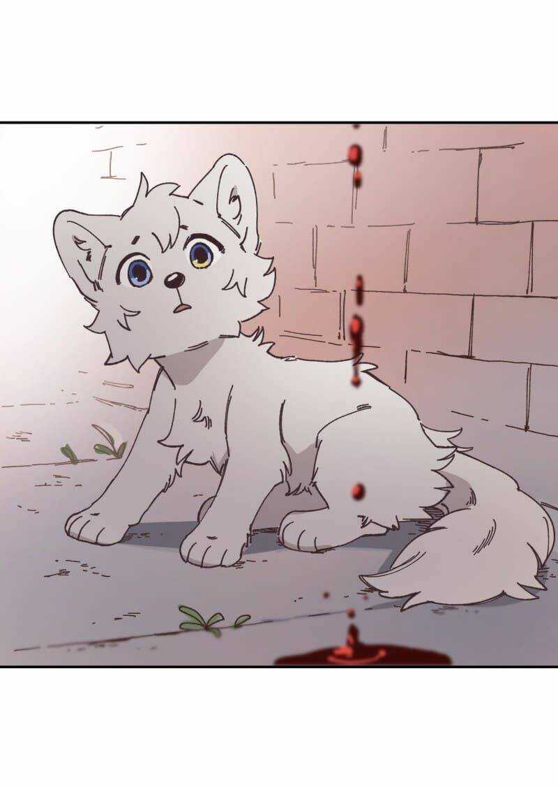 Cội Nguồn Ánh Sáng Chapter 91 trang 18