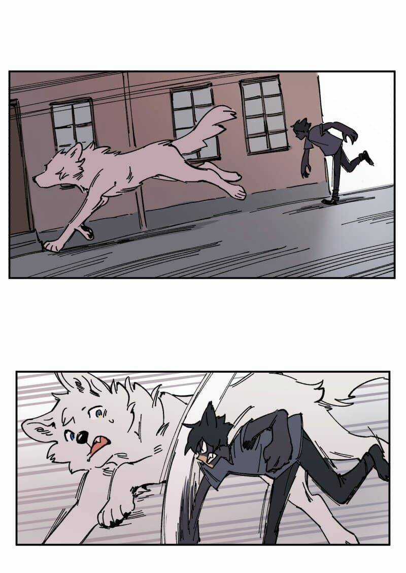 Cội Nguồn Ánh Sáng Chapter 91 trang 37