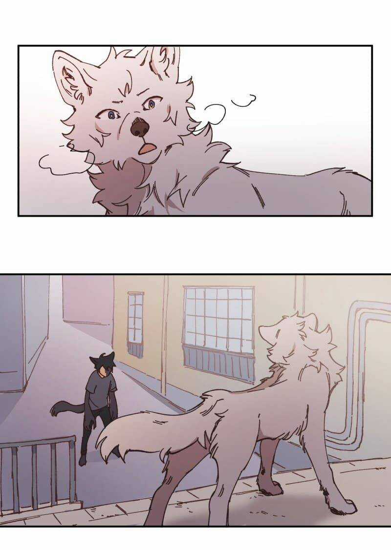 Cội Nguồn Ánh Sáng Chapter 91 trang 40