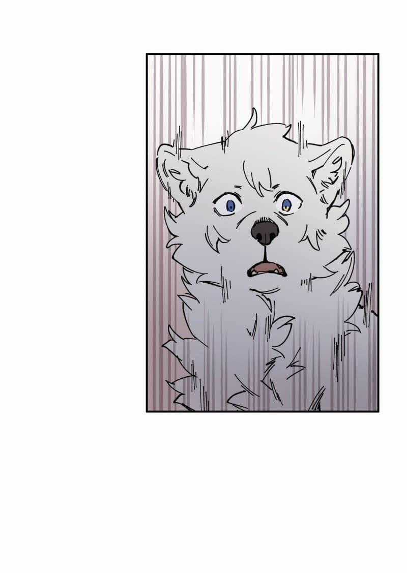 Cội Nguồn Ánh Sáng Chapter 91 trang 44