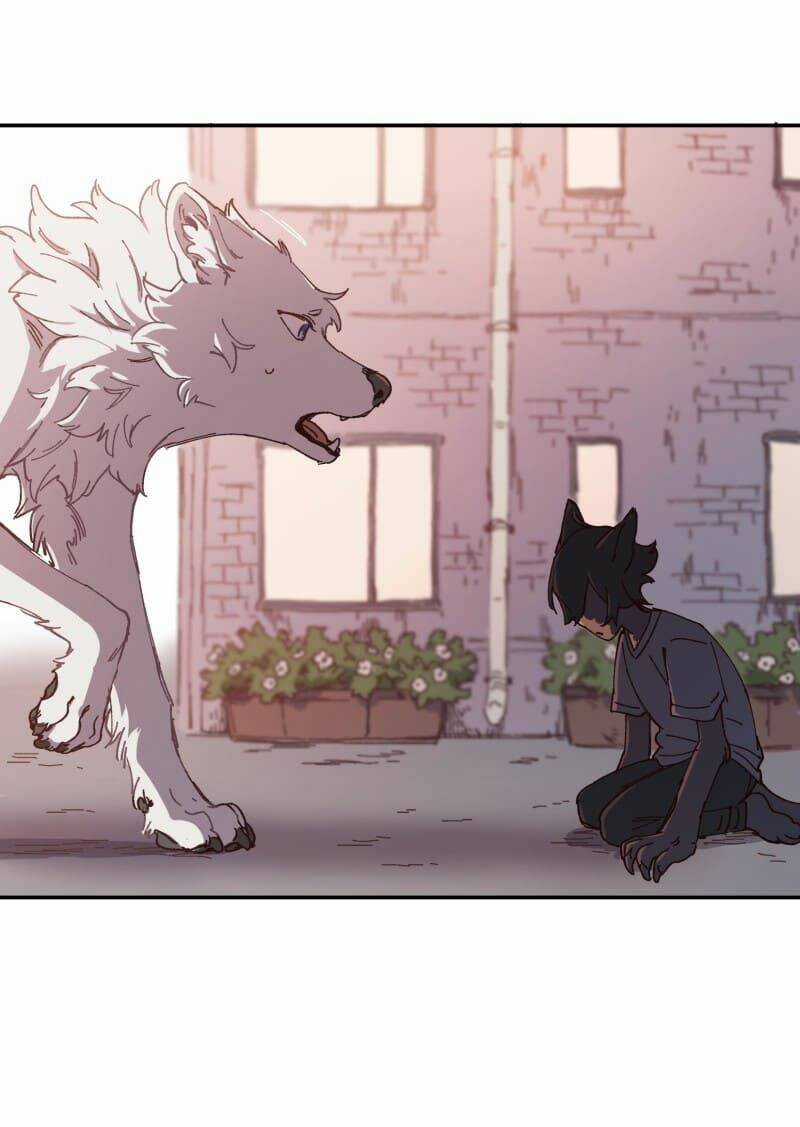 Cội Nguồn Ánh Sáng Chapter 92 trang 4