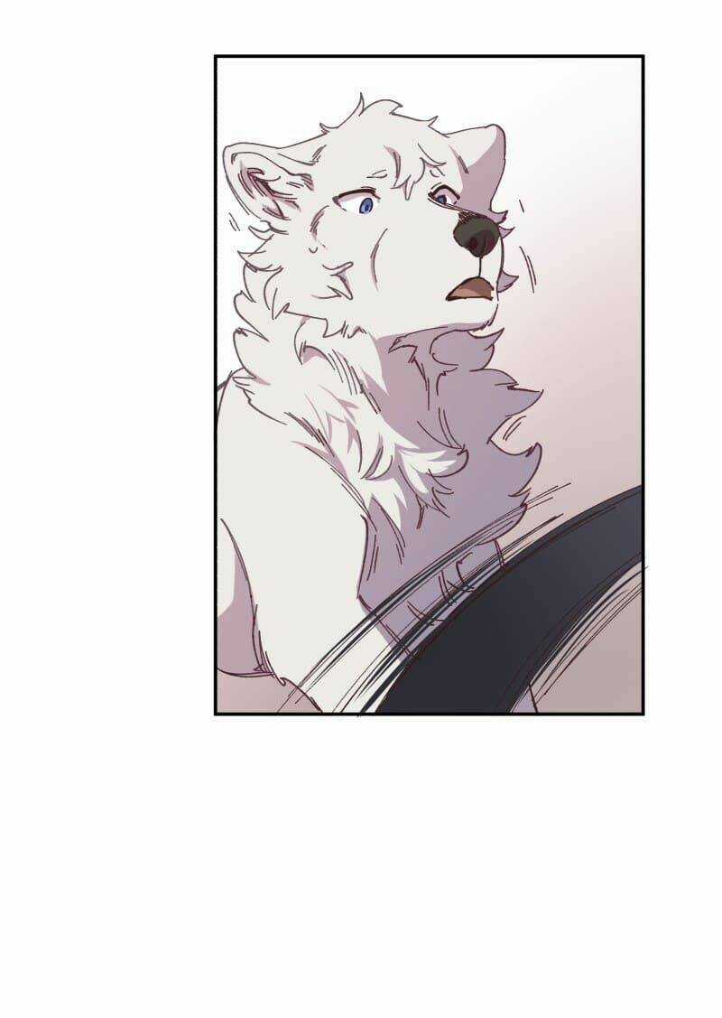 Cội Nguồn Ánh Sáng Chapter 92 trang 5