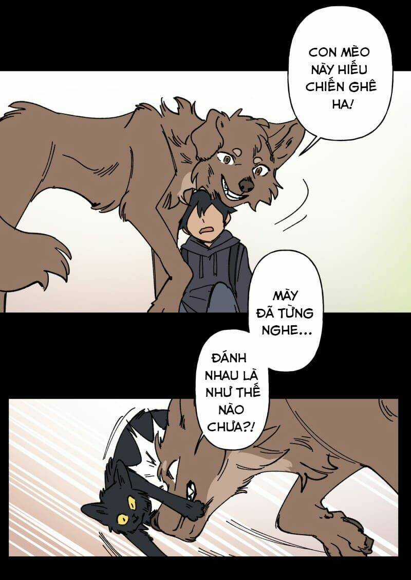 Cội Nguồn Ánh Sáng Chapter 97 trang 15