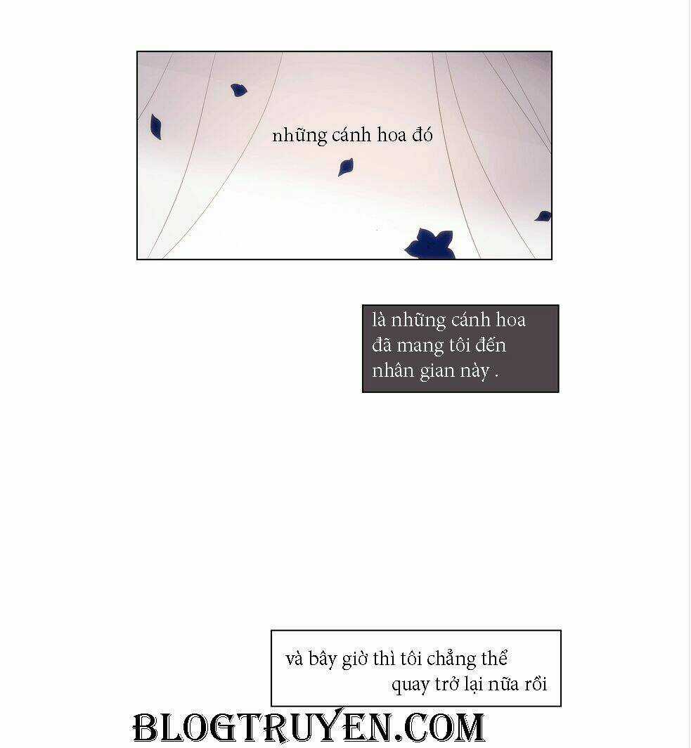 COIN Chapter 14 trang 8