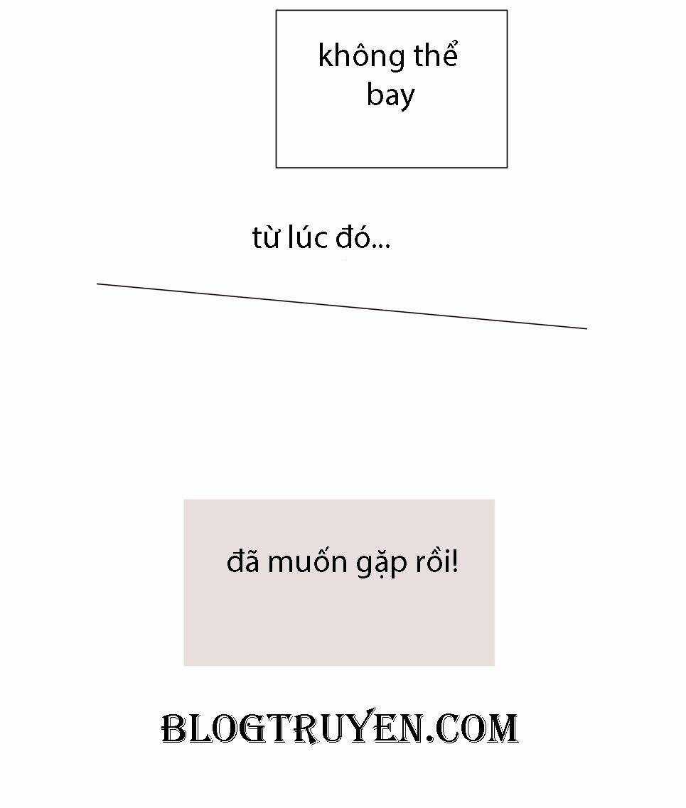 COIN Chapter 5 trang 14