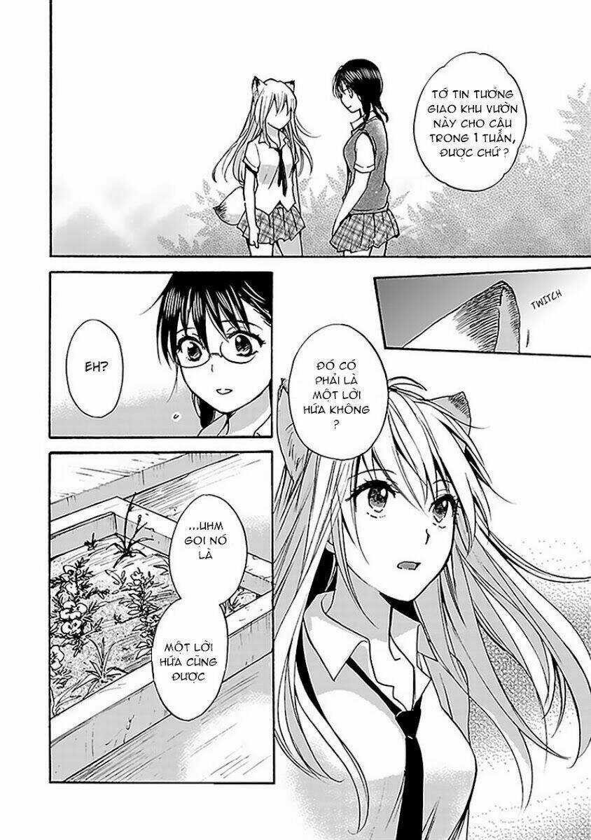 Come Come Vanilla! Chapter 5 trang 7