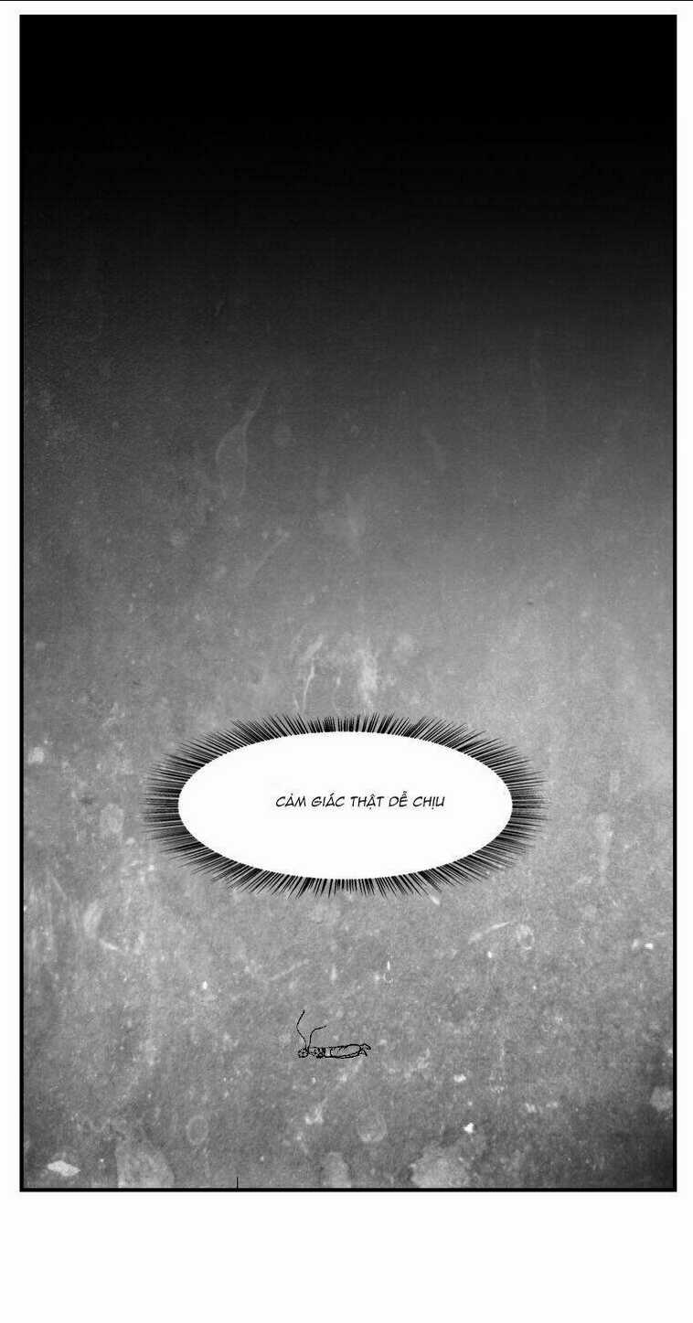 Cơn Bão Đỏ Chapter 254 trang 19