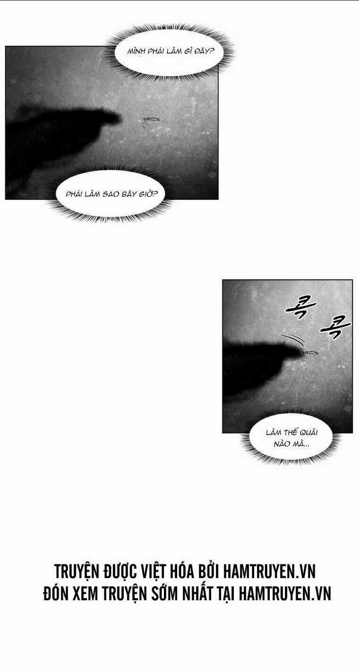 Cơn Bão Đỏ Chapter 254 trang 47