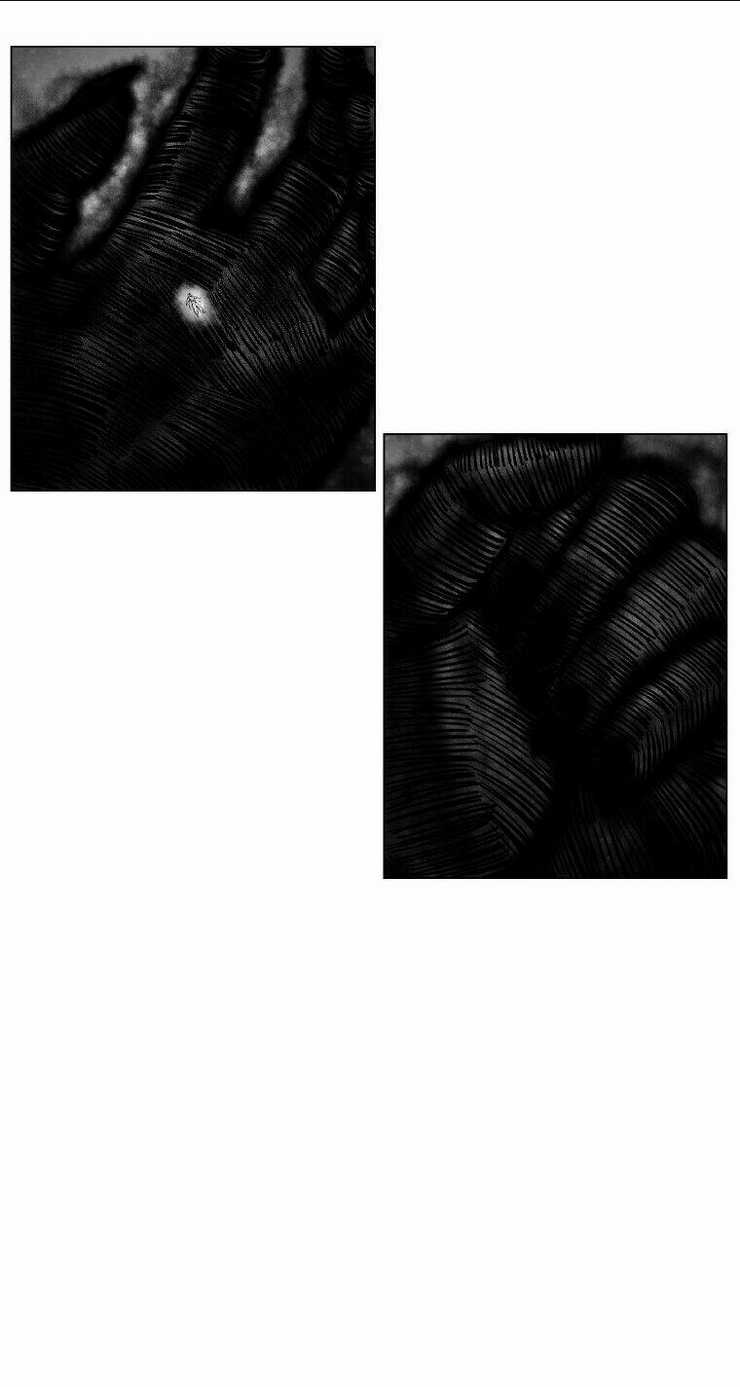 Cơn Bão Đỏ Chapter 254 trang 48