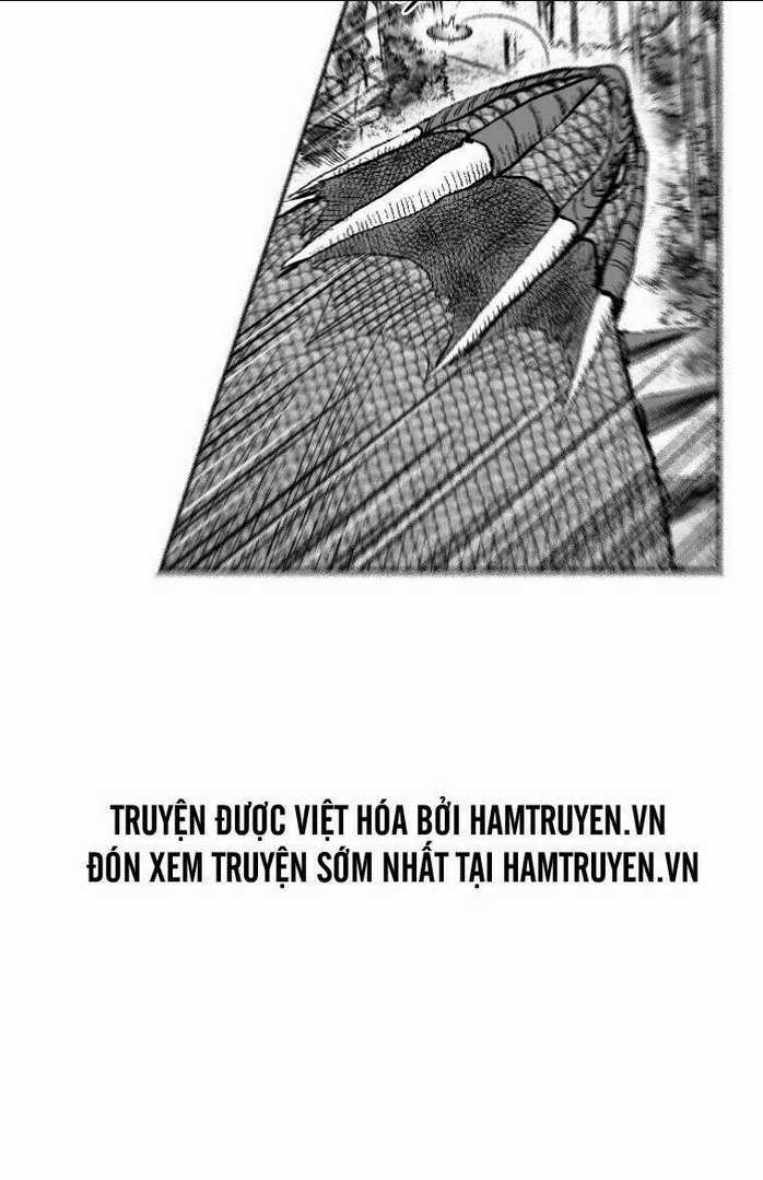 Cơn Bão Đỏ Chapter 256 trang 23