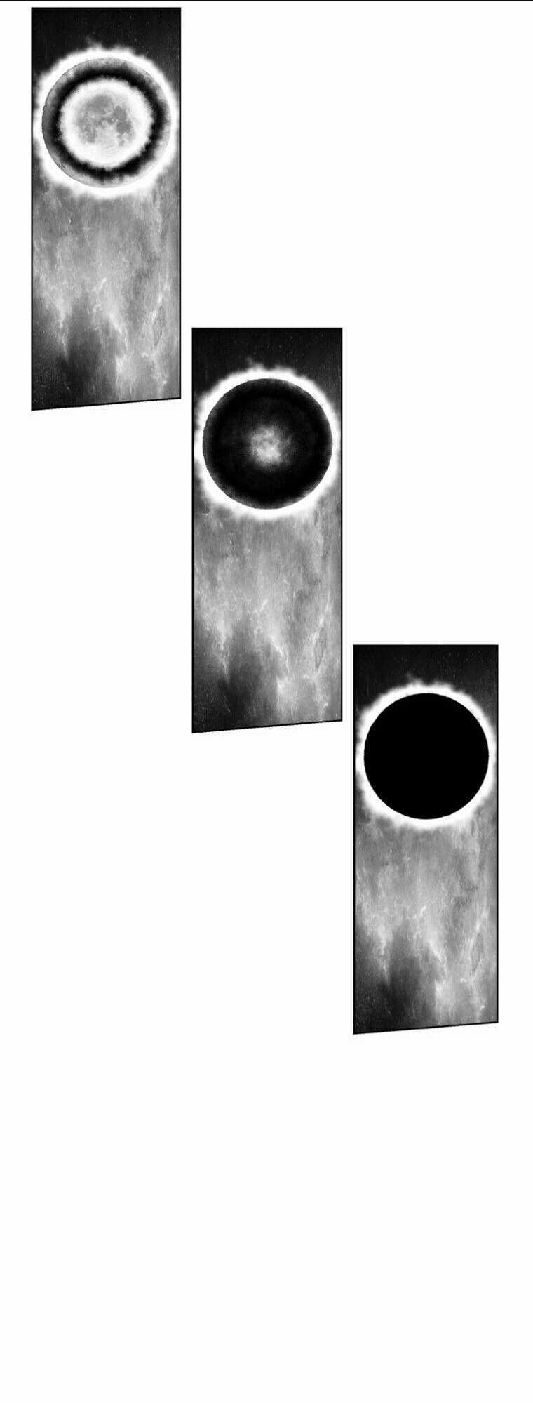 Cơn Bão Đỏ Chapter 262 trang 13