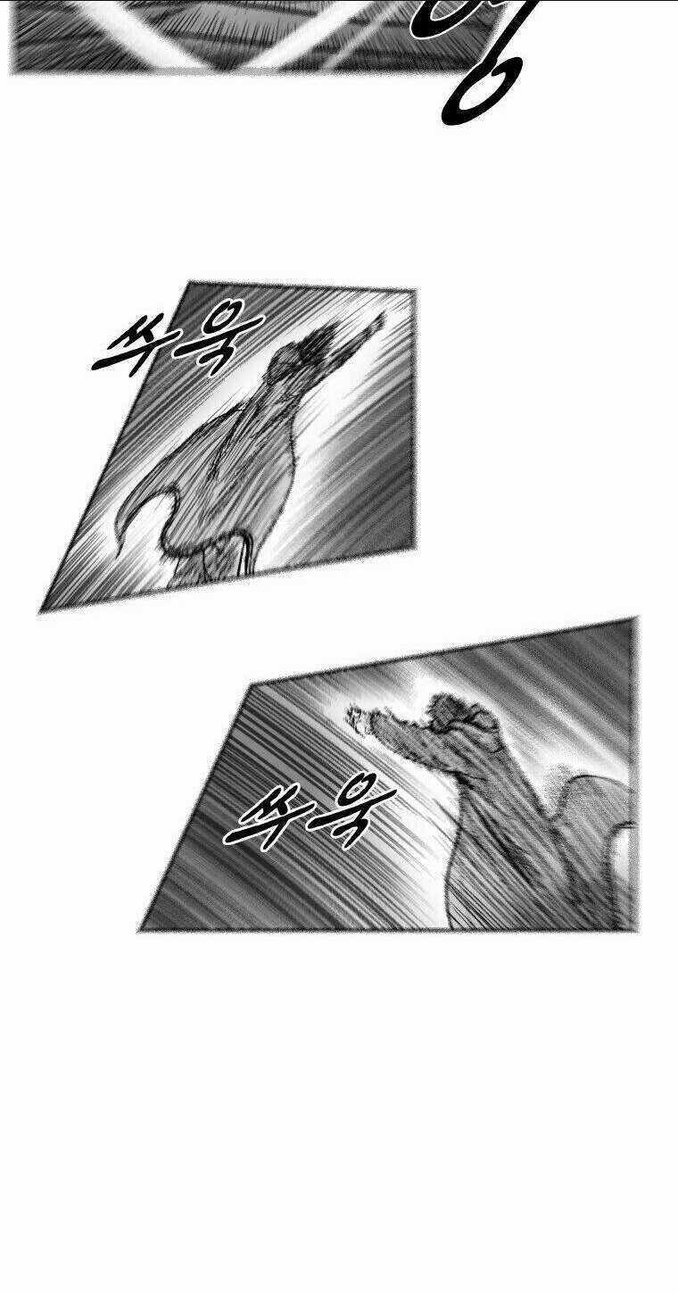 Cơn Bão Đỏ Chapter 265 trang 15