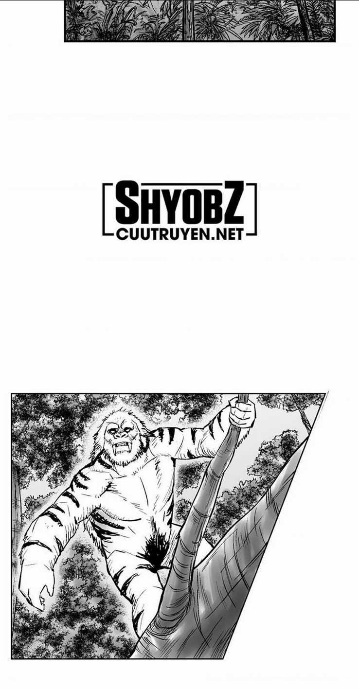 Cơn Bão Đỏ Chapter 290 trang 15