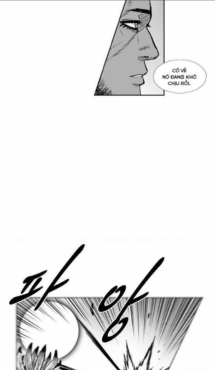 Cơn Bão Đỏ Chapter 294 trang 10