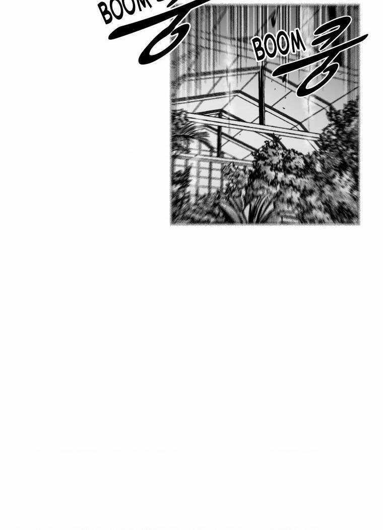 Cơn Bão Đỏ Chapter 298 trang 9