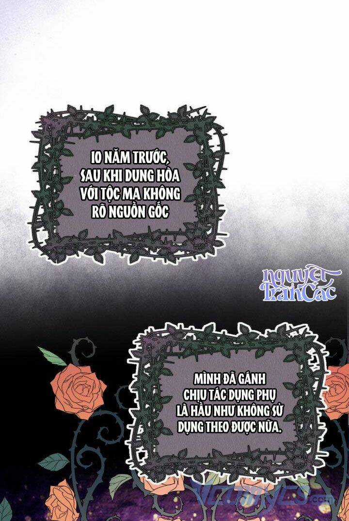 Con Có Phải Con Là Con Gái Của Ngài Không? Chapter 70 trang 62