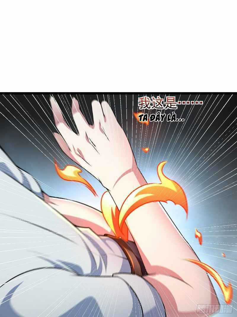 Con Của Ta Là Đại Lão Chapter 17 trang 11