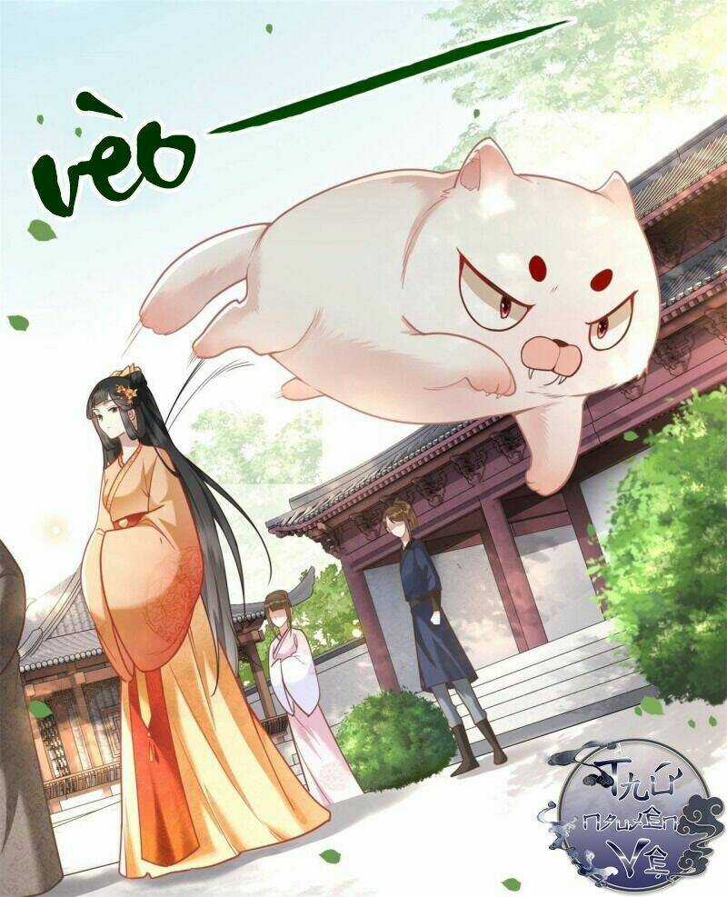 Con Đường Hoang Dã Của Vương Phi Chapter 12 trang 11