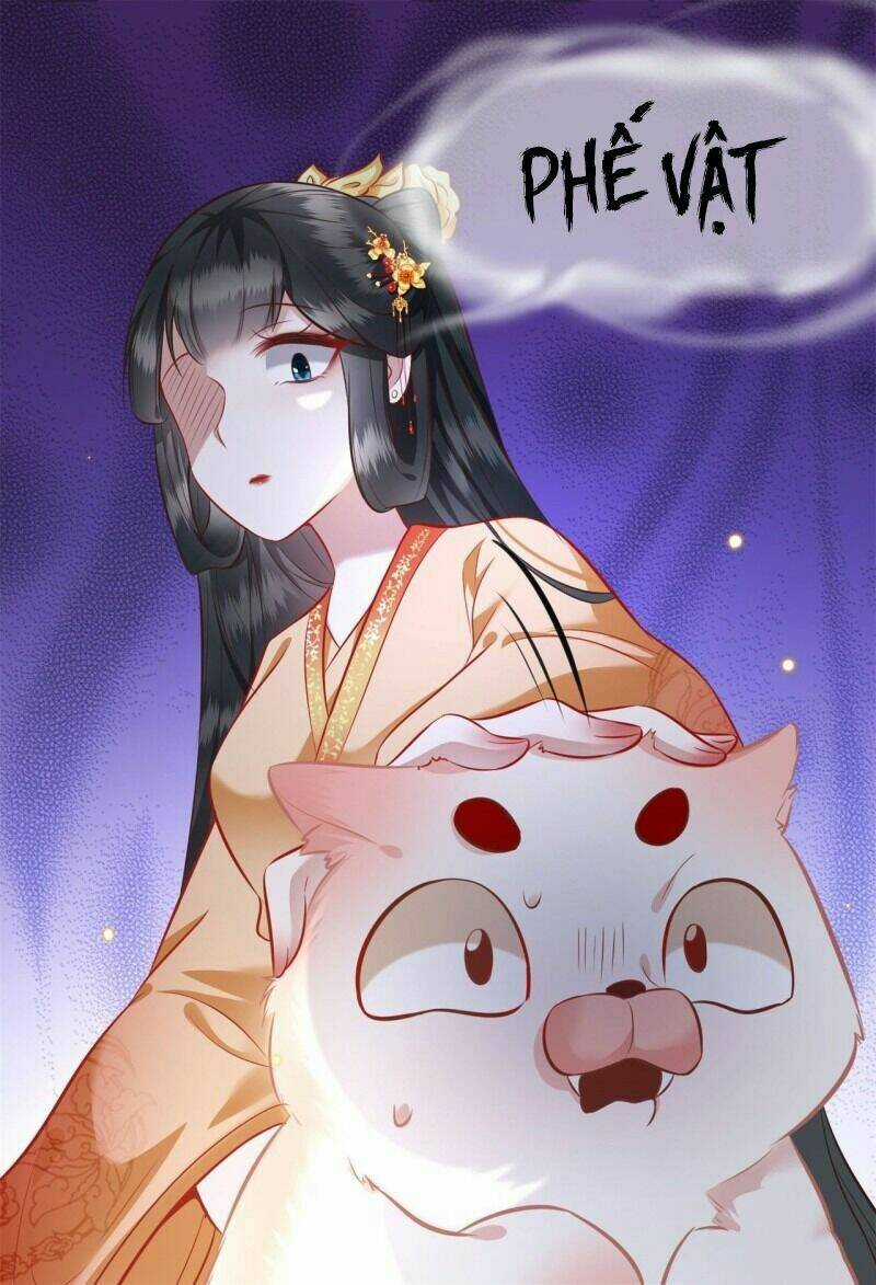 Con Đường Hoang Dã Của Vương Phi Chapter 12 trang 32