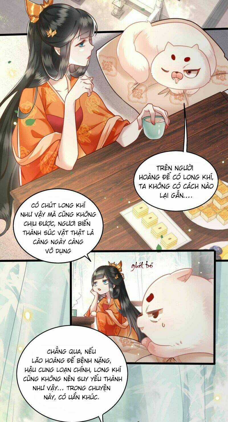 Con Đường Hoang Dã Của Vương Phi Chapter 17 trang 2