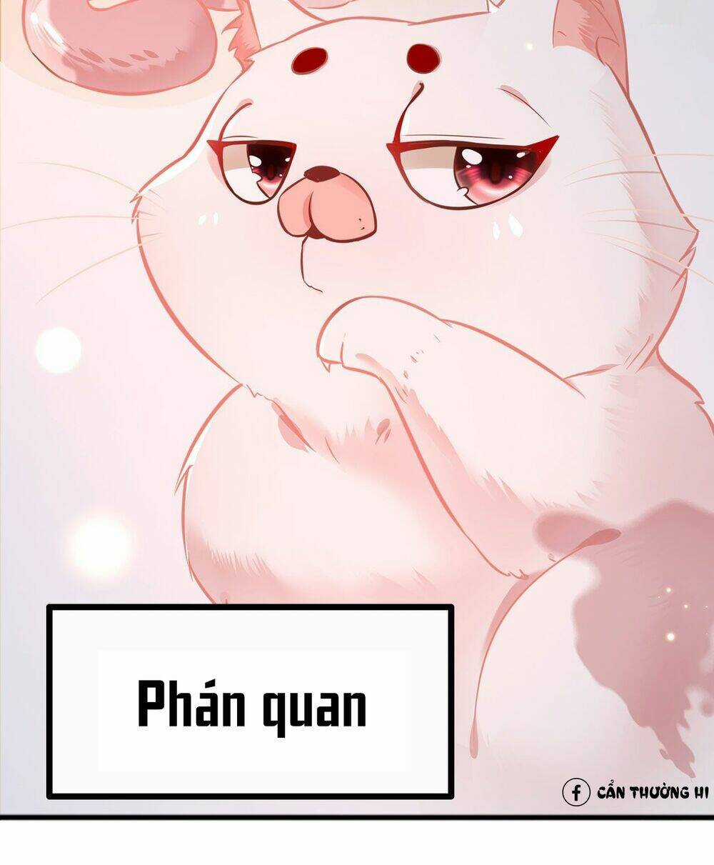 Con Đường Hoang Dã Của Vương Phi Chapter 2 trang 35