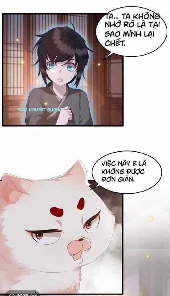 Con Đường Hoang Dã Của Vương Phi Chapter 24 trang 12