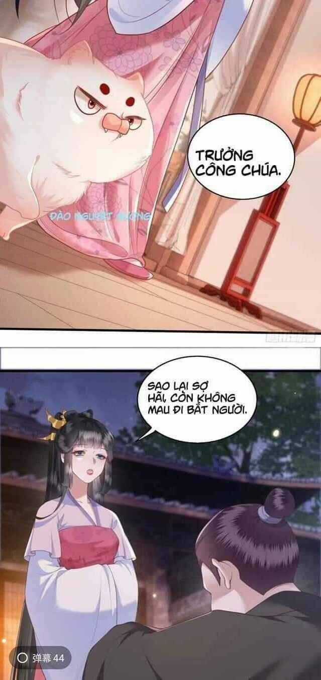 Con Đường Hoang Dã Của Vương Phi Chapter 25 trang 10