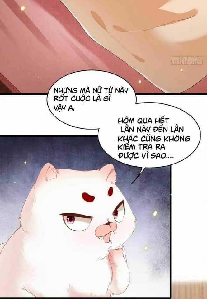 Con Đường Hoang Dã Của Vương Phi Chapter 28 trang 13