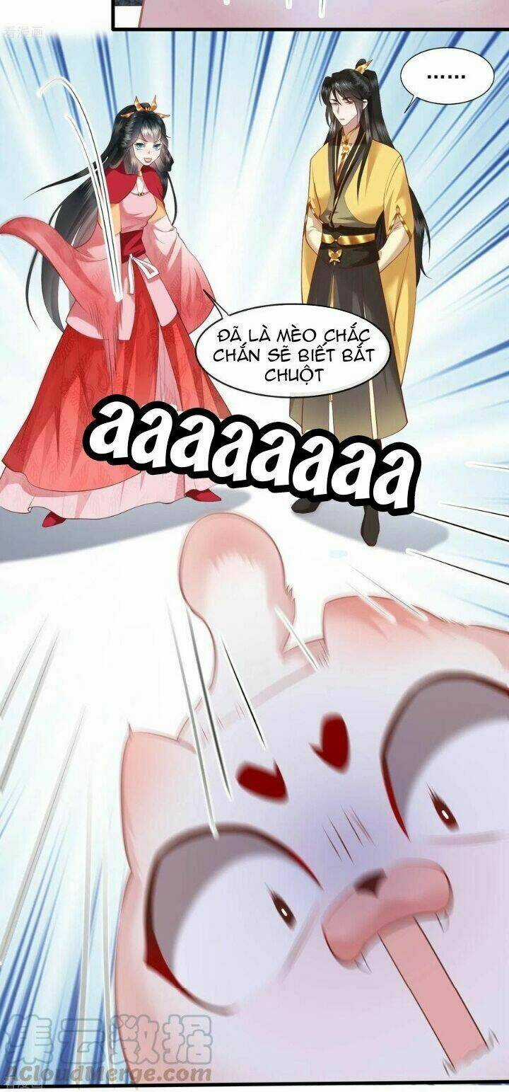 Con Đường Hoang Dã Của Vương Phi Chapter 35 trang 13