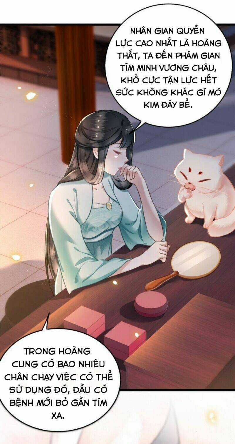 Con Đường Hoang Dã Của Vương Phi Chapter 4 trang 25