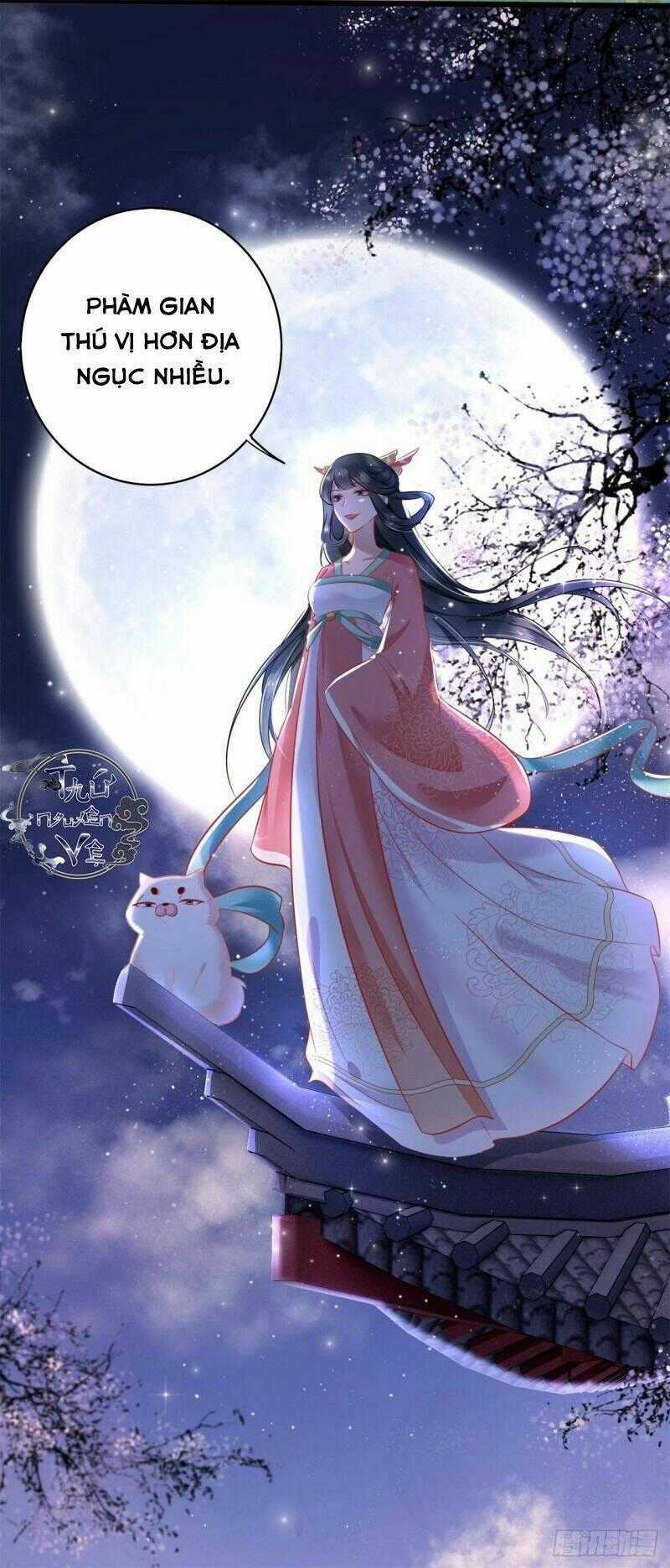 Con Đường Hoang Dã Của Vương Phi Chapter 5 trang 33