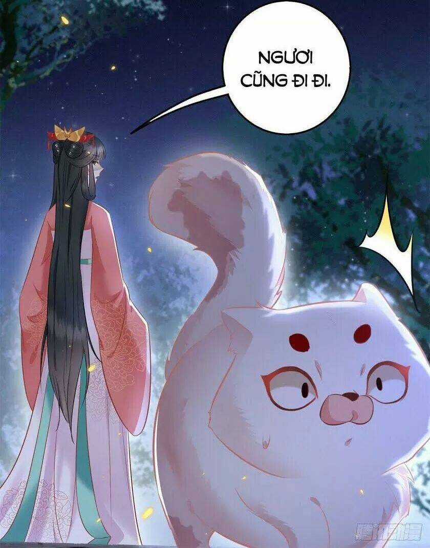 Con Đường Hoang Dã Của Vương Phi Chapter 6 trang 19