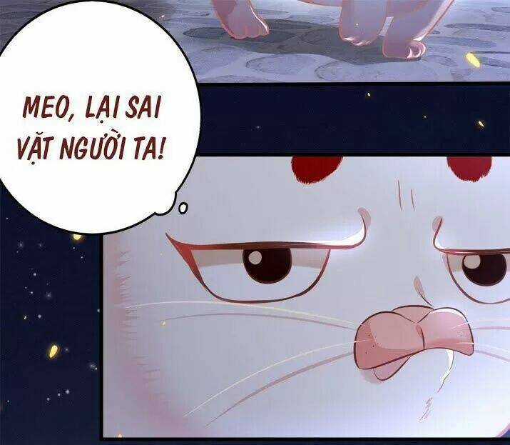 Con Đường Hoang Dã Của Vương Phi Chapter 6 trang 20