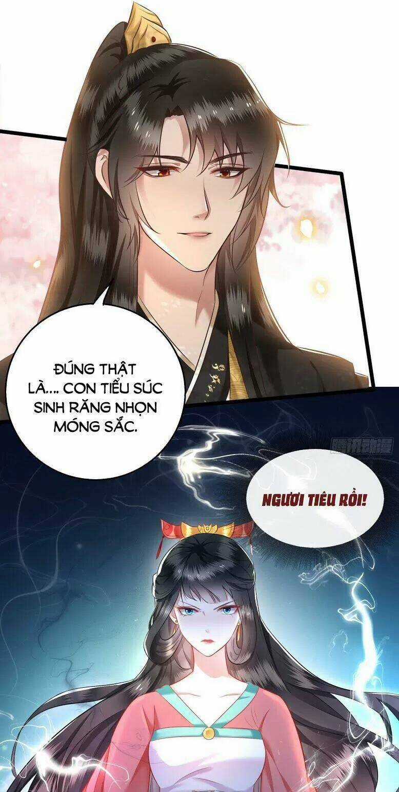 Con Đường Hoang Dã Của Vương Phi Chapter 9 trang 14